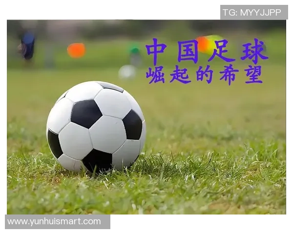 丁哲在足球领域的崛起与挑战解析以及未来发展展望